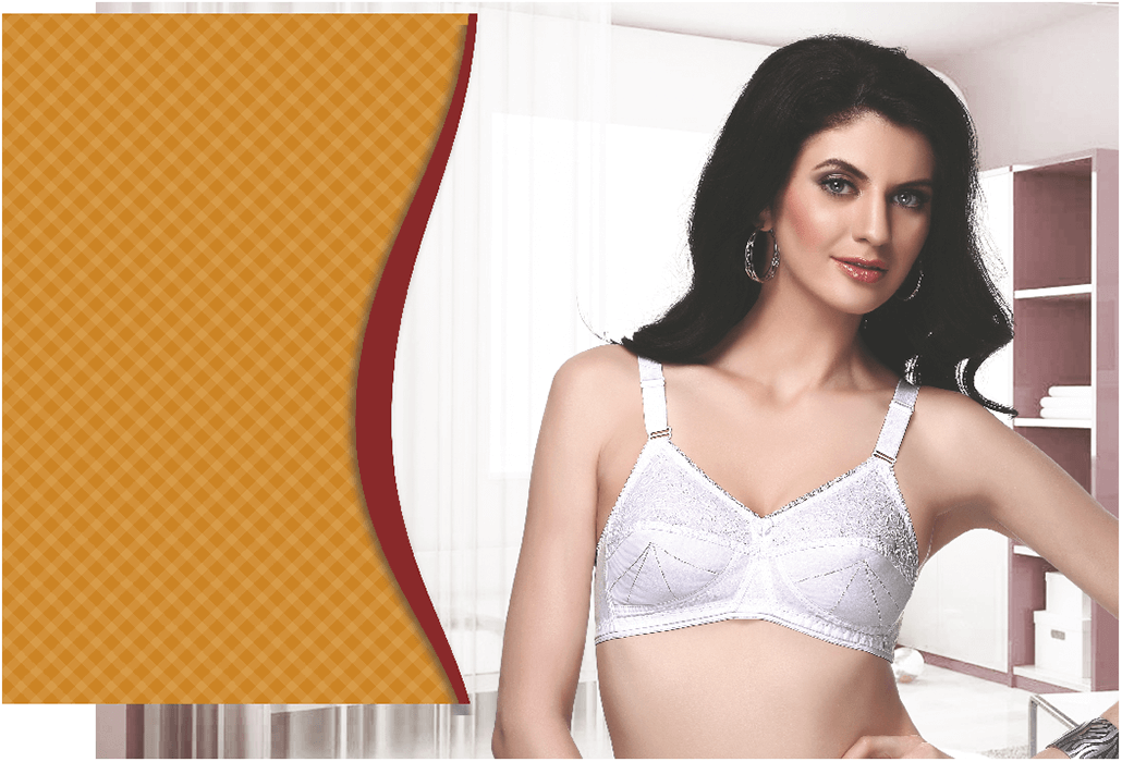 Dont Shy Aakriti BCD Cups Bra at Rs 239.00/piece